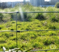 Terrenos Porto - Fotos para Vende-se Terreno de 7.000 m2 para construção em Portugal, Porto